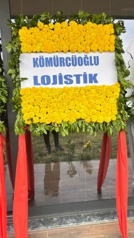 PANO ÇELENK